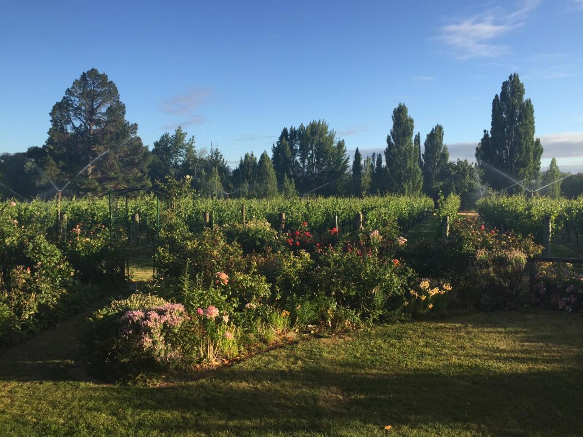 Villa 'The Crib' On Legacy Vineyard Alexandra Habitación foto